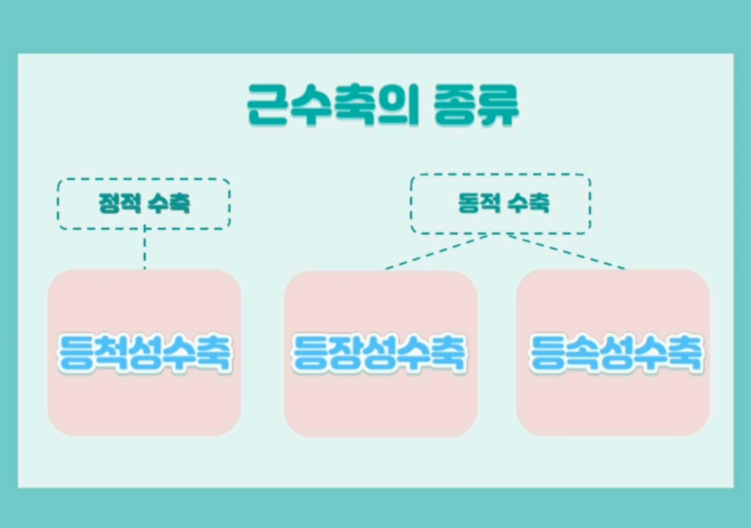 근수축의 종류